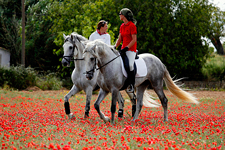 Spain-Mallorca/Menorca-Island Monasteries and History Ride